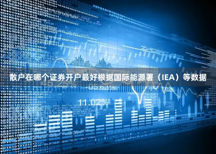 散户在哪个证券开户最好根据国际能源署（IEA）等数据