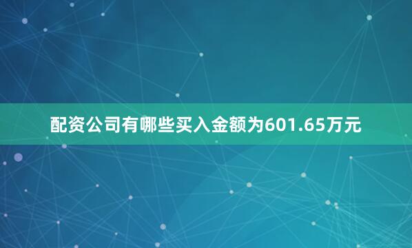 配资公司有哪些买入金额为601.65万元