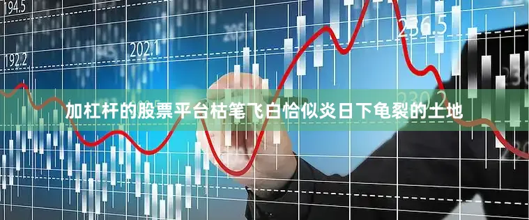加杠杆的股票平台枯笔飞白恰似炎日下龟裂的土地