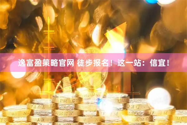 逸富盈策略官网 徒步报名！这一站：信宜！